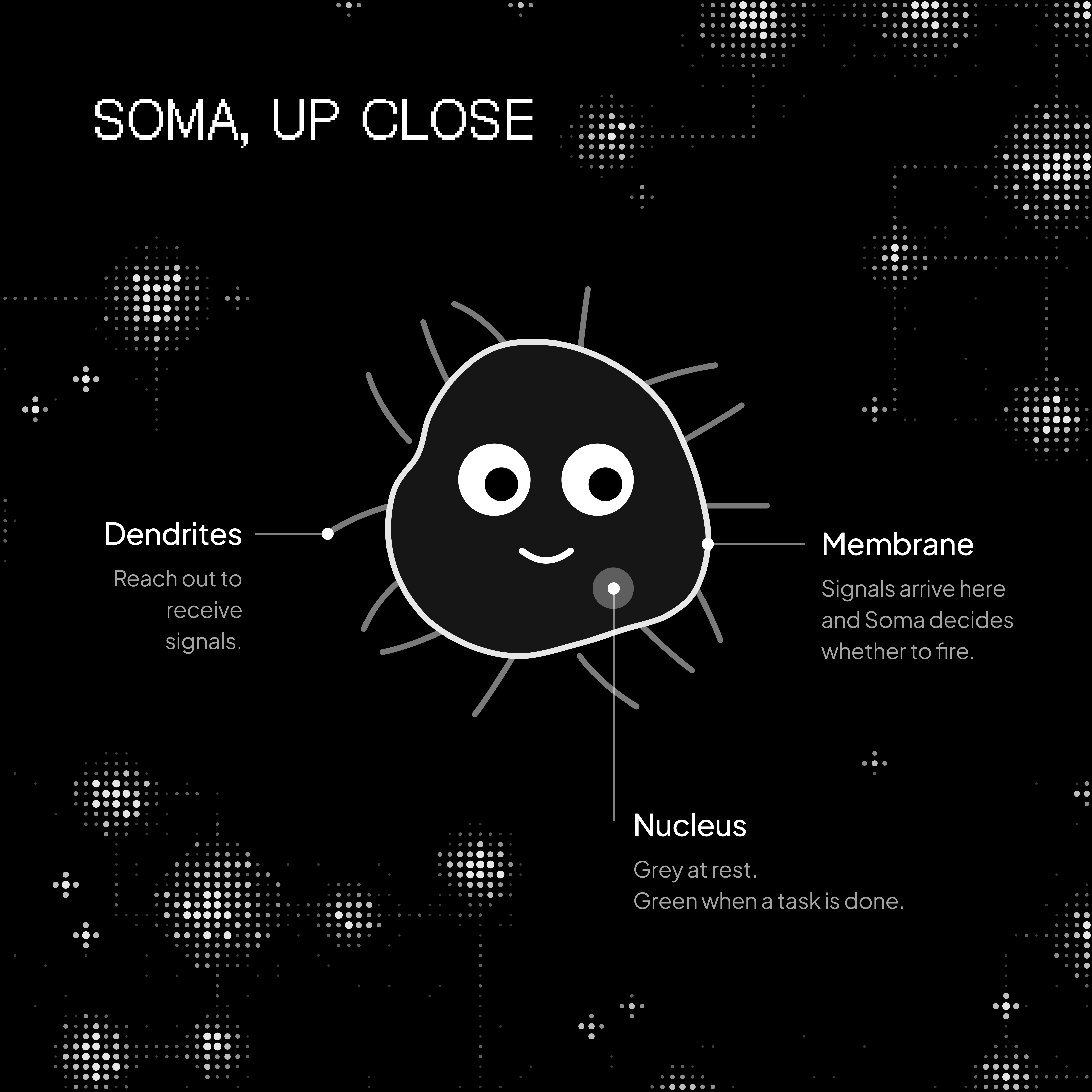 Instagram post titled Soma, up close, with labels pointing to the dendrites, membrane, and nucleus.